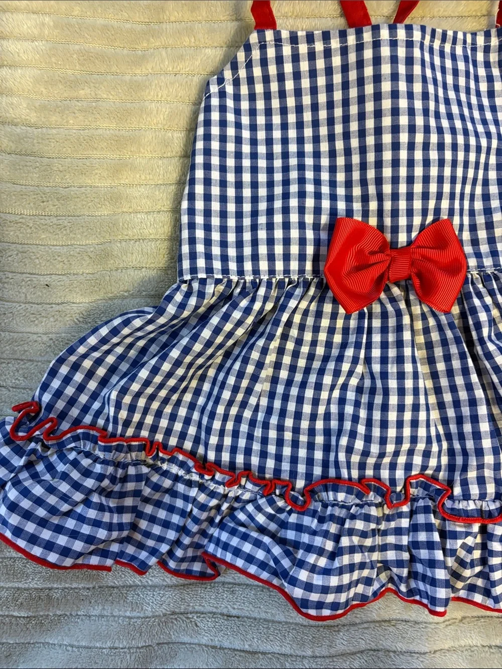 Blue Gingham Dog Dress with Red Trim and Bow